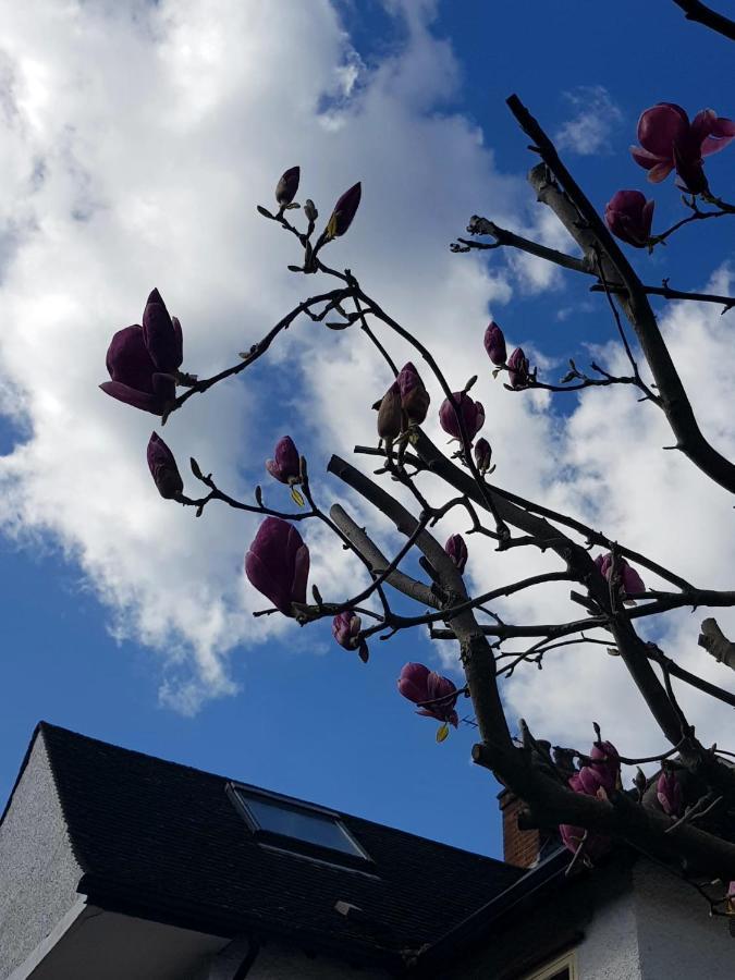 Kew Gardens - Private Double Room Richmond London - Homestay Екстер'єр фото